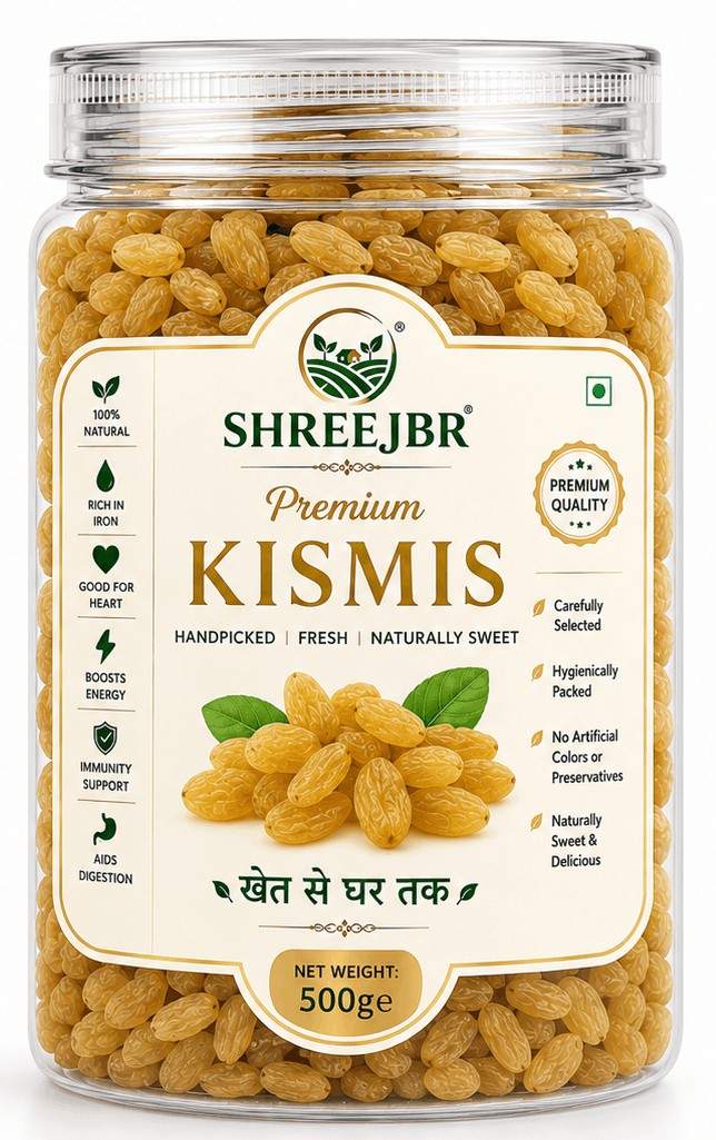 Premium ShreeJBR Kismis 500gm with Free Container